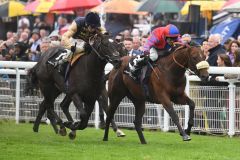 Big Evs schnappt sich die Molecomb Stakes. Foto: Racenews/Goodwood