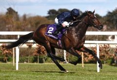 Bolshoi Ballet ist ein Ballydoyle-Hengst mit Derby-Ambitionen. Foto: courtesy by Coolmore