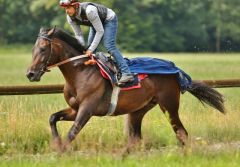 Vorschau Deauville 08. August 2017