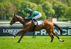 Calandagan, hier bei seinem Sieg im Prix Noailles. Foto: courtesy by Coolmore