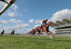 Carla's Way ist in den Rockfel Stakes souverän und könnte jetzt in den Breeders' Cup gehen. Foto: courtesy by Coolmore