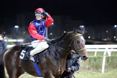 Cassilero gewinnt mit Eugen Frank im Preis von Lignieres am 08.02.2015 in Neuss. Foto: Dr. Jens Fuchs