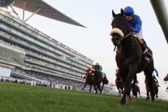 Cavalryman mit Silvestre de Sousa als Sieger im  Dubai Gold Cup. www.galoppfoto.de - Adrian Herden