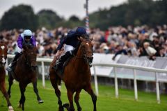 City of Troy auf dem Weg zum triumphalen Sieg im Juddmonte International. www.galoppfoto.de - JJ Clark