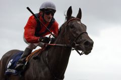 Danedream mit Andrasch Starke auch im Longines Großen Preis von Baden, Gr. I, überragend. www.galoppfoto.de