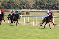 Ein Pferd mit Perspektive: Danelo gewinnt im Handgalopp. www.galoppfoto.de - Sabine Brose