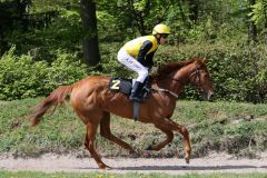 Aufgalopp mit Adrie de Vries vor dem Maidensieg (Foto: Dr. Jens Fuchs)