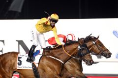 Das war knapp: Reynaldothewizard mit Richard Mullen im Dubai Golden Shaheen. www.galoppfoto.de - Frank Sorge