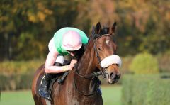 Jockey Lukas Delozier mit dem Dank an Donjah. Foto: Dr. Jens Fuchs