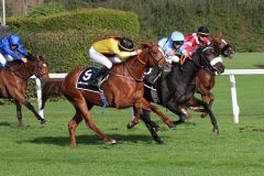 Dreikampf an der Spitze im Großen Preis von Bayern: Sunny Queen (René Piechulek Mitte), Torquator Tasso (Bauyrzhan Murzabayev, außen) und Dicaprio (Andrasch Starke, innen). www.galoppfoto.de - WiebkeArt