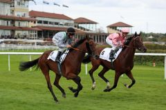 Ana's Best mit Fabrice Veron (hinten) und Drejö mit Andrasch Starke beim Aufgalopp zum Escada Cup. Foto: Dr. Jens Fuchs