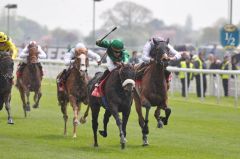 Dalkala siegt mit Christophe Lemaire in den Middleton Stakes. Foto John James Clark