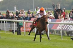 Libertarian gewinnt mit William Buick die Dante Stakes. Foto: John James Clark