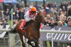 Libertarian gewinnt mit William Buick die Dante Stakes. Foto: John James Clark