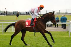 Libertarian mit William Buick beim Aufgalopp. Foto: John James Clark