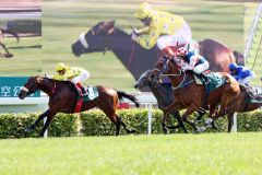 Dunaden mit Craig Williams als Sieger der Cathay Pacific Hong Kong Vase. www.galoppfoto.de