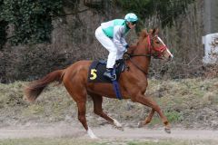 Dynamic Lips beim Aufgalopp, Krefeld 20.3.1016 (Foto: Dr. Jens Fuchs)