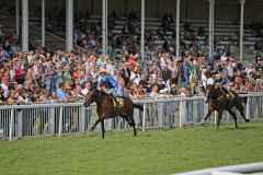 Eine leichte Aufgabe wurde gesucht und leicht gelöst: Der Derbyvierte Winning Spirit siegt mit René Piechulek den  Preis der BBAG-Jährlingsauktion. ©galoppfoto - Sarah Bauer