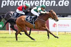 Einprägsamer Name, guter erster Auftritt: Tough Tom gewinnt beim Rennbahn-Debüt mit Wladimir Panov. ©galoppfoto - Sabine Brose