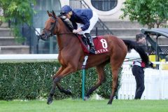 Emily Dickinson, hier unter Ryan Moore in Longchamp. www.galoppfoto.de