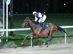 Leichter Sieg für Emirati Spirit (Foto: Dr. Jens Fuchs)