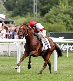 Fast Derbysieger - nur ein Windstoß war schneller... Enjoy Vijay und Andrasch Starke im Derby am 2.7.2017 in Hamburg - Foto: Dr. Jens Fuchs