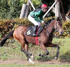 Equiana am 5.11.2017 in Krefeld - Foto: Dr. Jens Fuchs