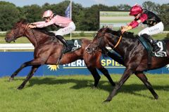 Er ist wieder da: Mythico gewinnt drei Jahre nach seinem klassischen Erfolg in den German 2000 Guineas nun mit Hugo Boutin wieder auf Black Type-Parkett in Köln. ©galoppfoto - Stephanie Gruttmann