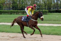 Eric beim Aufgalopp in die Saison 2016 (Foto: Dr. Jens Fuchs)