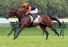 Exxtra holt sich den "Palais Royal" in Longchamp. Foto: courtesy by Coolmore