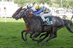 Das verdeckte Pferd gewinnt: Atoso setzt sich gegen Dolomit durch. www.galoppfoto.de - Sabine Brose