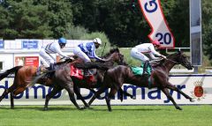 Mit 6 Jahren der erste Black Type-Treffer: Fly First gewinnt mit Robert Havlin die Dallmayr Prodomo-Trophy. Foto: Dr. Jens Fuchs