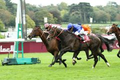 Cirrus Des Aigles ist zwar mit Christophe Soumillion innen als Erster im Ziel, wird aber wegen Behinderung zweier Pferde auf Rang 5 zurückgestuft, der Sieger ist Fractional mit Raphael Marchelli. Foto: Dr. Jens Fuchs