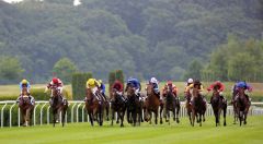 14 Pferde auf einem kniffeligen Kurs mit einem Jockey, der "ohne Plan" aber mit viel Fortune und Können agiert: Jozef Bojko (weisse Kappe mit blauen Sternen) und Full Rose. Foto: Dr. Jens Fuchs