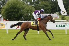 Maningrey - hier bei seinem gelungenen Rennbahn-Debüt mit Johan Victoire in München - soll 2013 für weitere Treffer sorgen. www.turfstock.com - Lajos-Eric Balogh