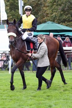 Geminiano mit Leon Wolff nach dem 2yo-Listensieg. ©galoppfoto - Sabine Brose