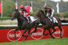 Gestüt Ammerlands Altair Star mit Andrasch Starke gewinnt die Henkel-Trophy in Düsseldorf. www.galoppfoto.de