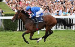 Der Dubawi-Sohn Ghaiyyath gewann den 147. Großen Preis von Baden in überlegener Manier, lag mit William Buick 14 Längen vor der Konkurrenz. Foto: Dr. Jens Fuchs