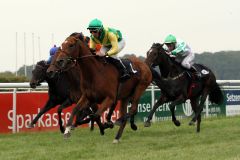 Nach drei Platzierungen der erste volle Treffer für Stall Waidmannsheils Goldbraid mit Ratislav Juracek im Sattel. www.galoppfoto.de - Peter Heinzmann