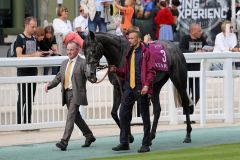 Golden Valentine am 11.09.2016 in Chantilly (Foto: Dr. Jens Fuchs)