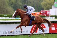 Graasten stürmt mit Andrasch Starke in Krefeld zum Sieg. Foto: Dr. Jens Fuchs