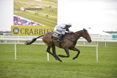 Grand National-Sieger Pineau de Re mit Leighton Aspell. Foto: www.galoppfoto.de - John James Clark