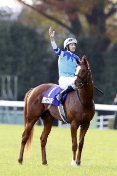 Stolze Sieger: Cheval Blanc und Hugh Bowman. www.galoppfoto.de - Stefano Grasso