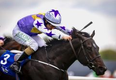 Green Impact setzt sich gegen die Ballydoyle-Konkurrenz durch. Foto: courtesy by Coolmore