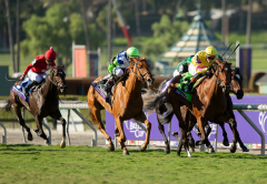 Had to Justify ist eine von zwei Siegerinnen ihres Vaters in Santa Anita. Foto: courtesy of Coolmore