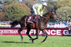 Haya Zark beim Aufgalopp zum "Arc" 2023. www.galoppfoto.de - Sabine Brose