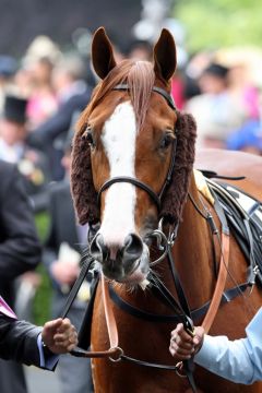 Helmet in diesem Jahr mit strengem Mittelscheitel in Royal Ascot. www.galoppfoto.de - Frank Sorge