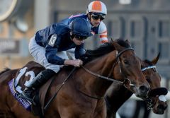 Henri Matisse sorgt für den 20. Breeders' Cup-Treffer von Aidan O'Brien. Foto: courtesy by Coolmore