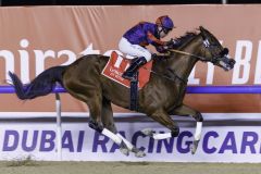 Mit einem Cantersieg qualifiziert sich Imperial Emperor für den Dubai World Cup. Foto: DRC