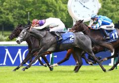 Incarville kommt gegen Cirona und Es La Vida noch gerade hin. Foto: courtesy by Coolmore